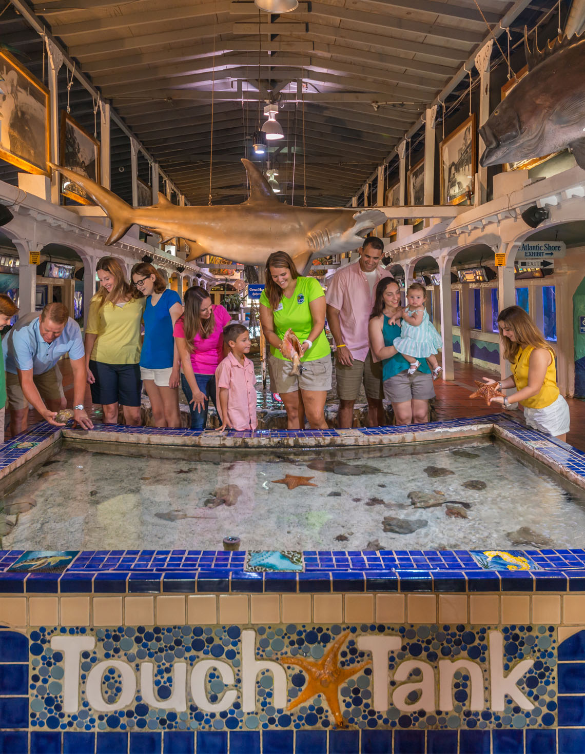 Key-West-Aquarium-Touch-Tank