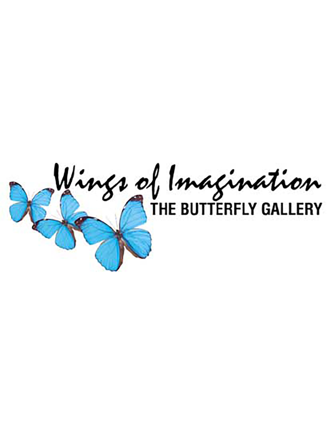 Wings of Imagination logo
